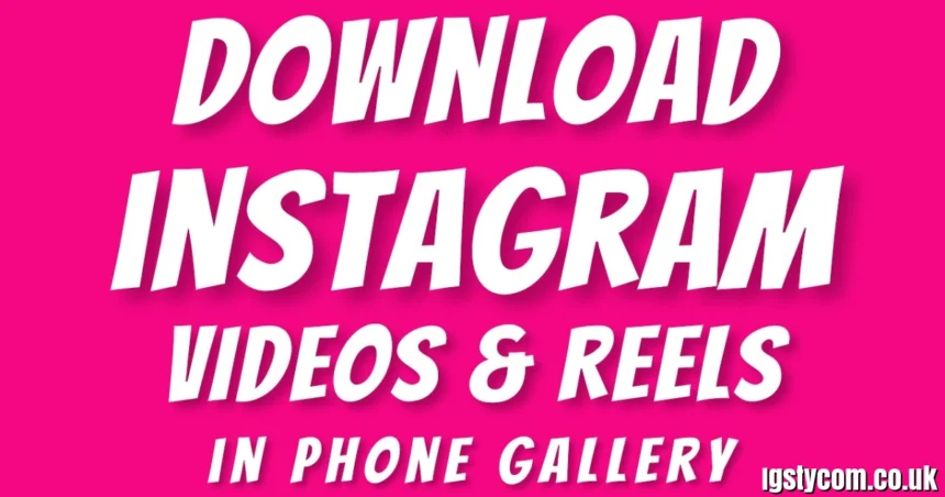 IGsty. com Video Download: How to Download Instagram Videos, Reels
