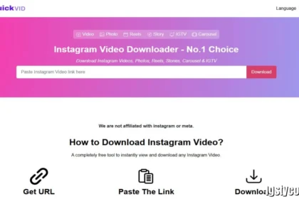 IGsty com Review: Complete Guide to the Instagram Downloader Tool