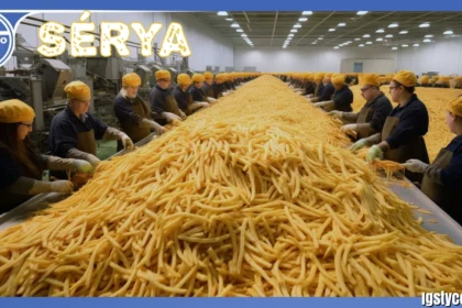 Sérya: The Food Innovation Company Behind Modern Potato Specialties