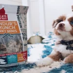 Hundurs Crunch Dog Treats: Natural Fish Treats for Dogs
