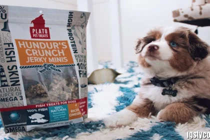 Hundurs Crunch Dog Treats: Natural Fish Treats for Dogs