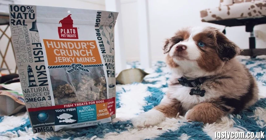 Hundurs Crunch Dog Treats: Natural Fish Treats for Dogs