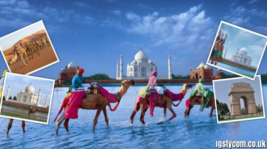 www.eeehaaa.com Login: EEEHAAA Travel & Tourism Services in India